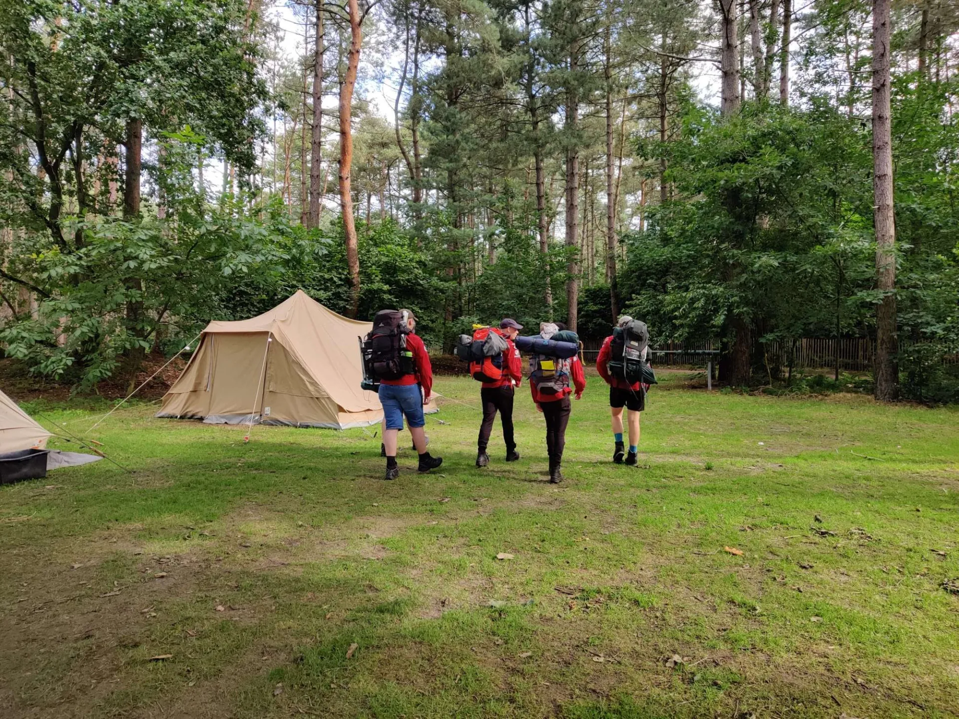 De jongens wandelen over een grasveld