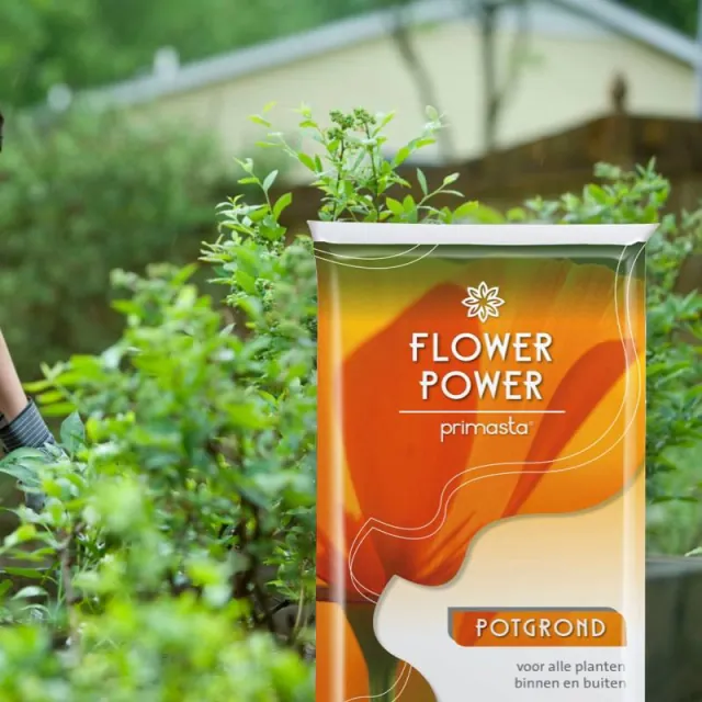 Een zak Flower Power potgrond van Primasta voor een struik