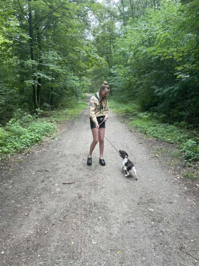 Een gids laat een hond uit in de Polderse bossen